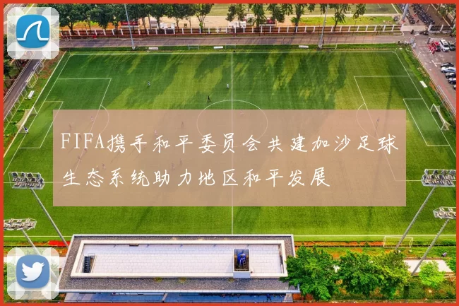FIFA携手和平委员会共建加沙足球生态系统助力地区和平发展